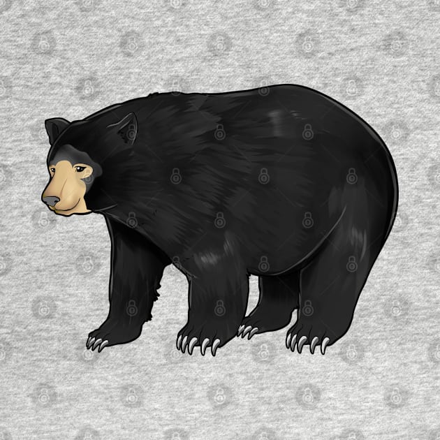 Drawing of an American black bear by Modern Medieval Design